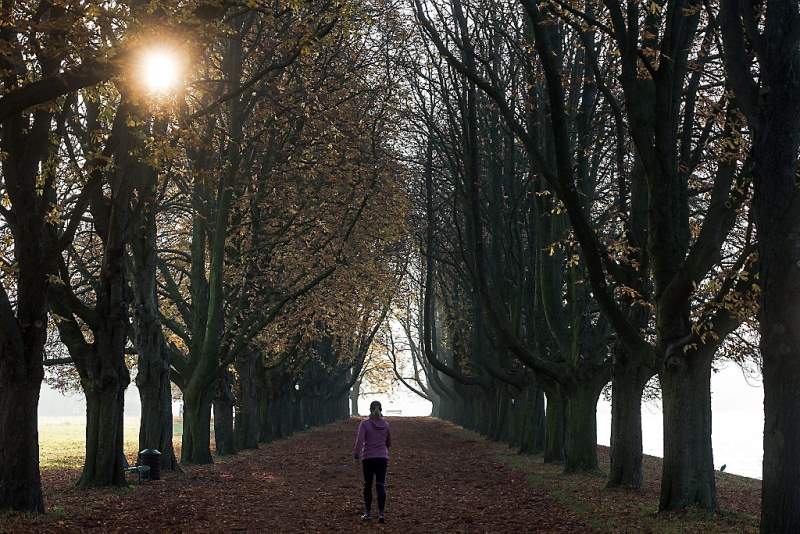 Wat is de herfst toch prachtig (fotoserie en video)