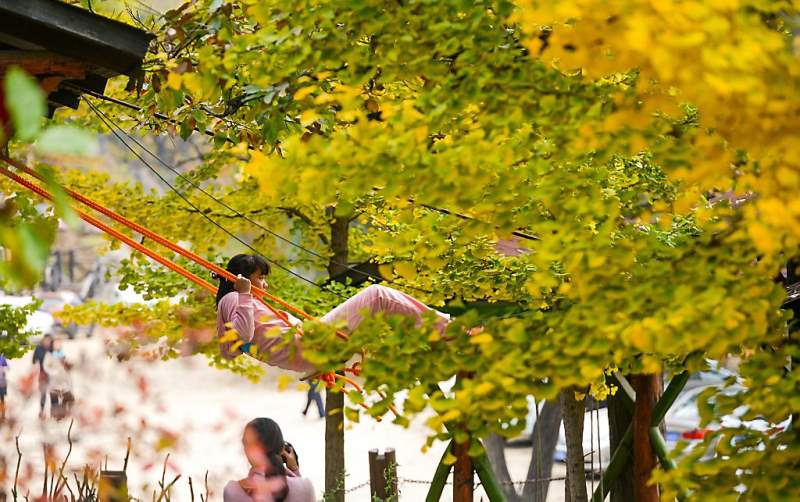 Wat is de herfst toch prachtig (fotoserie en video)