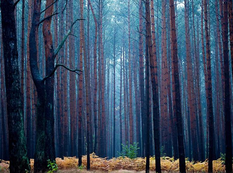 Wat is de herfst toch prachtig (fotoserie en video)