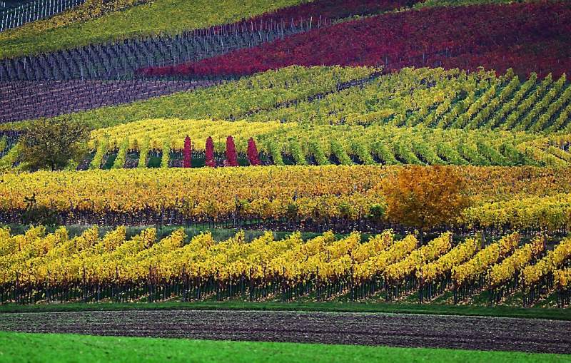 Wat is de herfst toch prachtig (fotoserie en video)