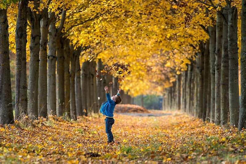 Wat is de herfst toch prachtig (fotoserie en video)