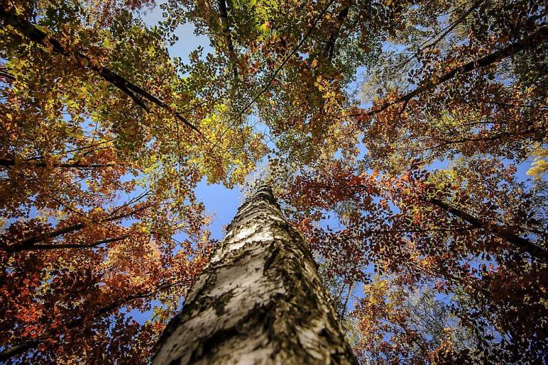 Wat is de herfst toch prachtig (fotoserie en video)