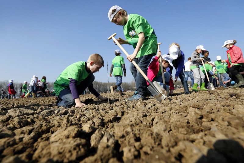 Fotoserie en video: 200.000 bomen op Boomfeestdag