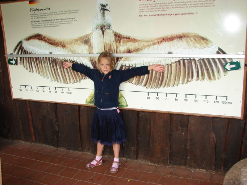 Kriebelende roofvogel