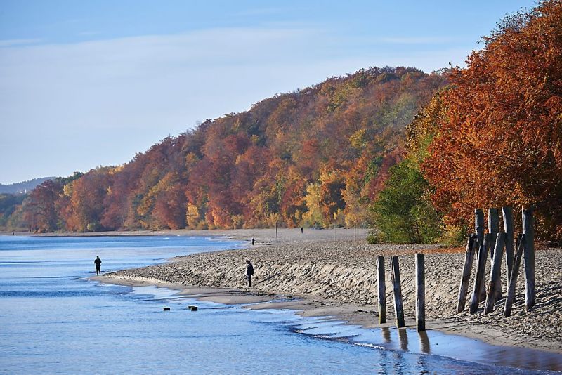 Wat is de herfst toch prachtig (fotoserie en video)