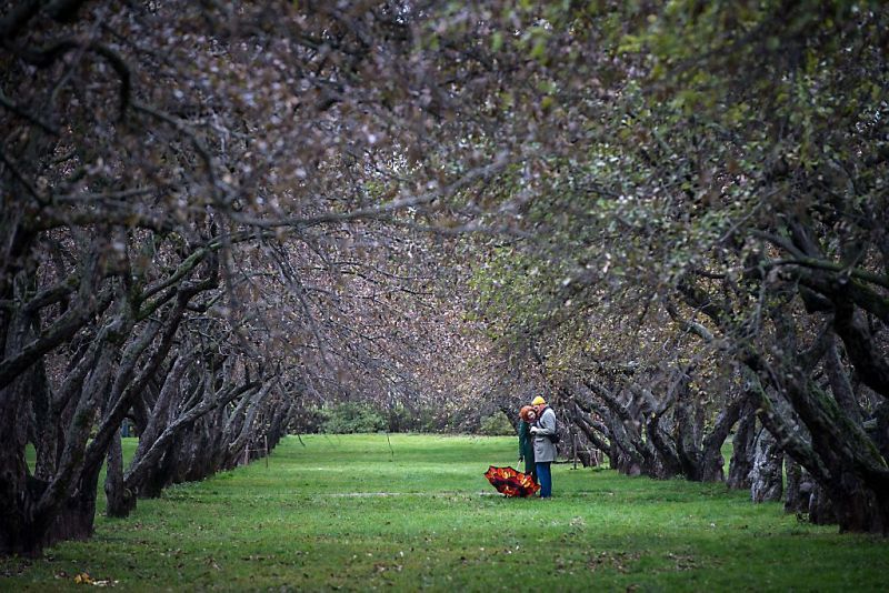 Wat is de herfst toch prachtig (fotoserie en video)